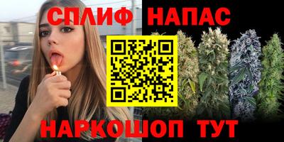 амф Ялта