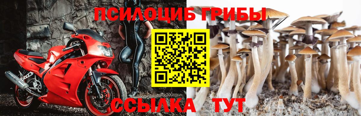 Галлюциногенные грибы Magic Shrooms  где купить   Бугульма  Вход с VPN 