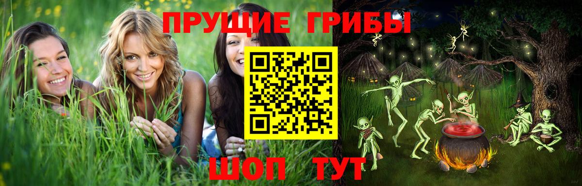 Псилоцибиновые грибы Psilocybine cubensis Бугульма